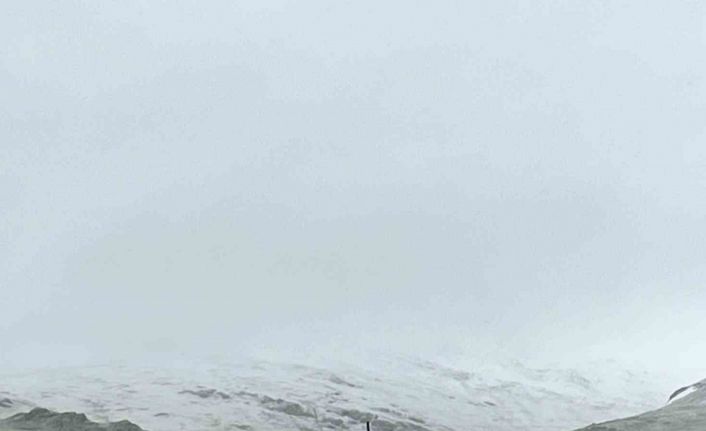 Gümüşhane’nin zirveleri Haziran ayında beyaza büründü