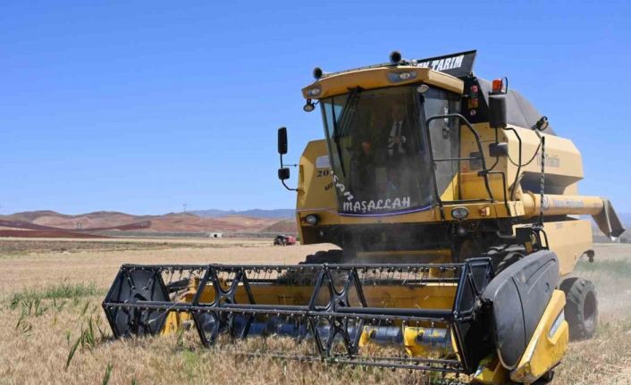 Güneşin altında hasat: Buğday tarlalarında zorlu mesai başladı