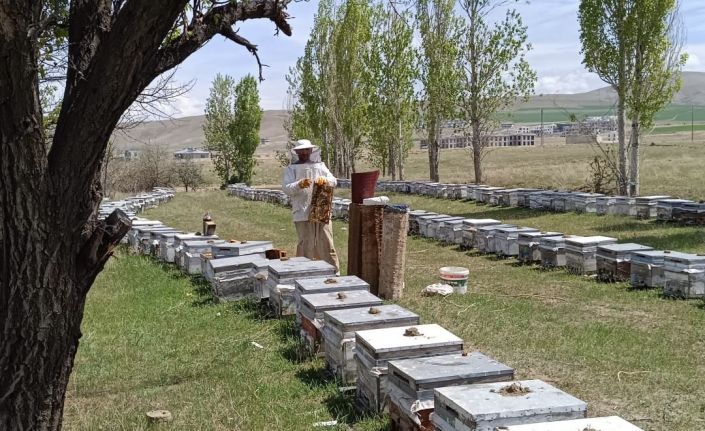 Hakkâri’de kırsala 38 milyon TL hibe desteği