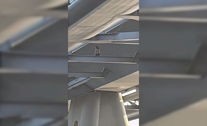 Haliç Metro köprüsünün altındaki demirlerden sarkan kadını çekirdek yiyerek izlediler