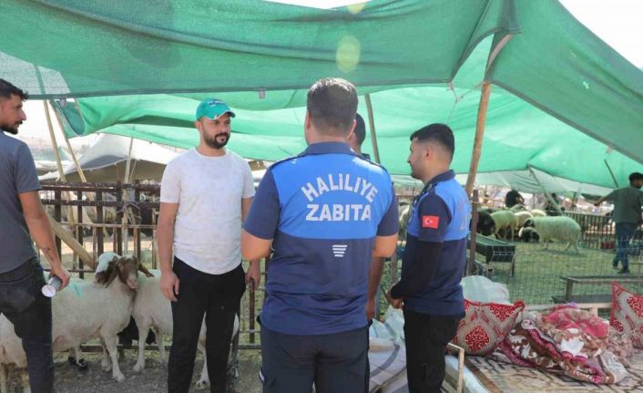 Haliliye Belediyesi 662 personeliyle sahada