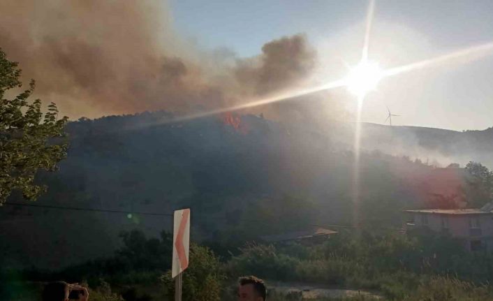 Hatay’da orman yangını