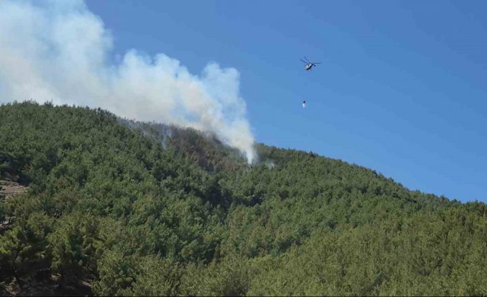 Hatay’da orman yangını havadan müdahaleyle kontrol altına alındı