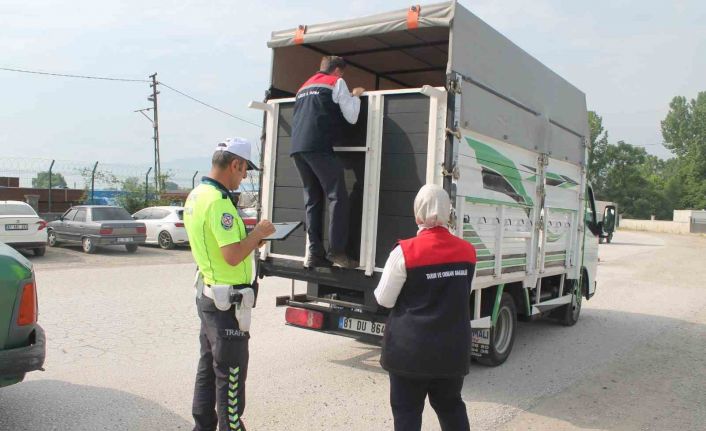 Hayvan pazarında sıkı denetim