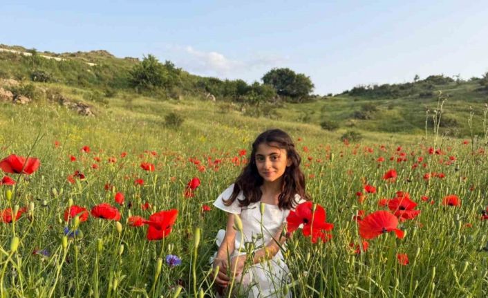 Iğdır’da gelincik tarlaları görsel şölen sunuyor