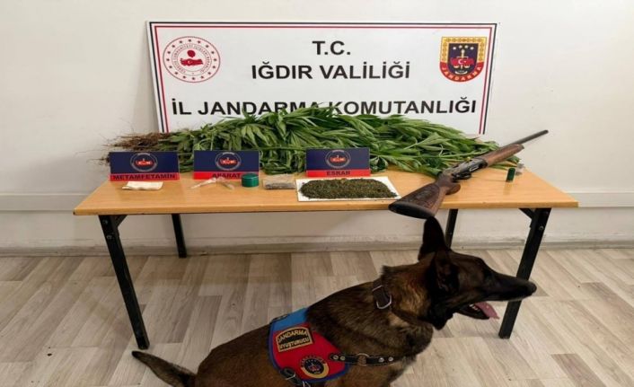 Iğdır’da jandarmadan uyuşturucu operasyonu: 1 kişi tutuklandı