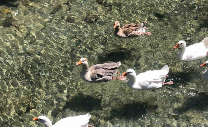 İnönü Havacılık Eğitim Merkezi’ndeki doğal güzellik