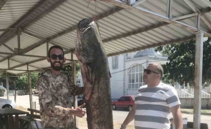 İpsala’da ağlara 80 kilo ağırlığında yayın balığı takıldı