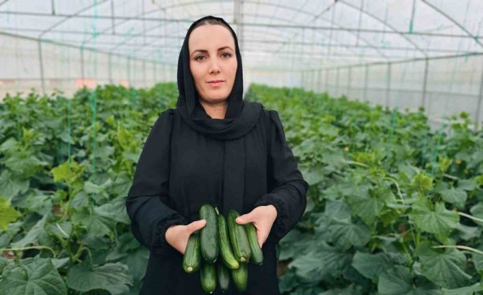 Irak’tan Yüksekova’ya uzanan başarı öyküsü