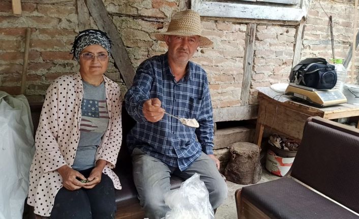 İstanbul’dan memlekete dönen iki kardeş, 10 dönümlük arazide salep bitkisi yetiştiriyor