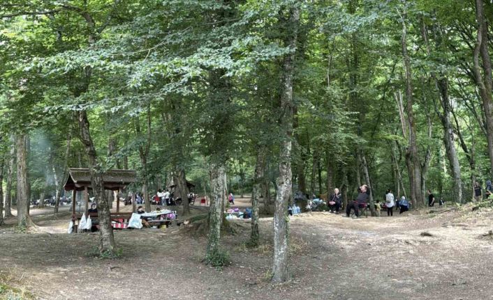 İstanbullular Kurban Bayramı’nın 2’nci gününde Belgrad Ormanı’na akın etti