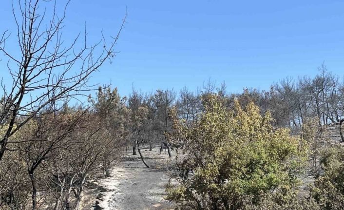 İzmir Aliağa yangını kontrol altında