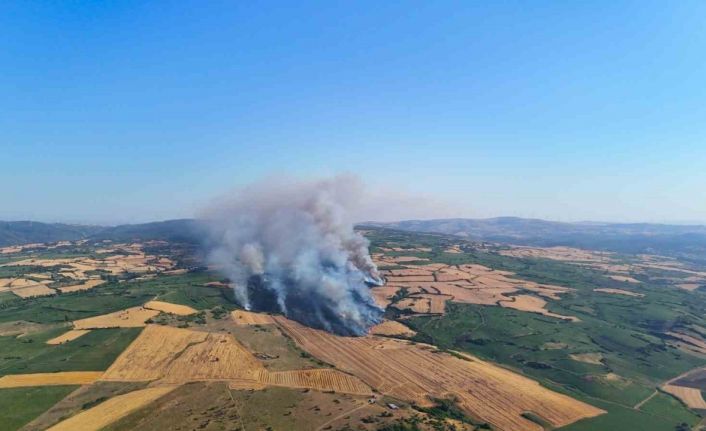 İzmir otoyolunun yanı başındaki yangına 3 helikopter müdahale etti
