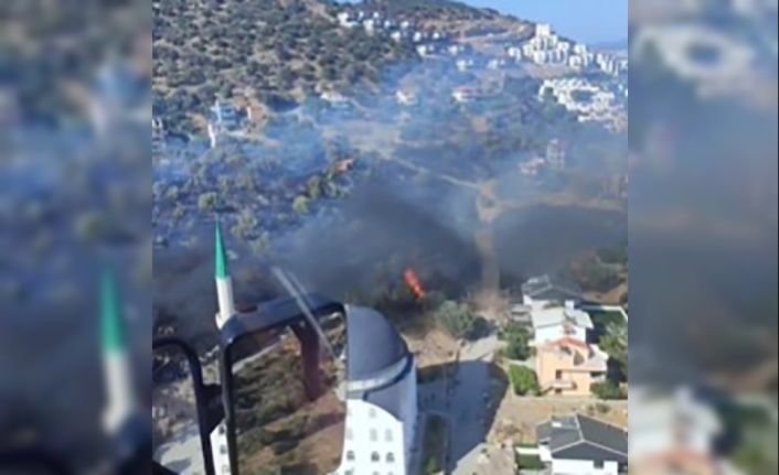 İzmir’de bir yangın da Dikili’de