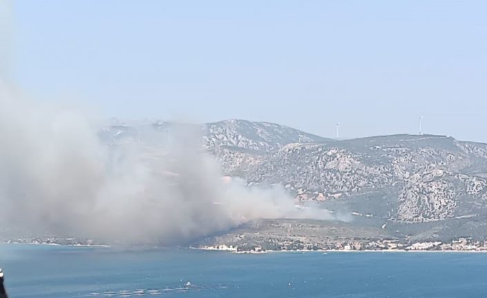 İzmir’de çıkan orman yangınına havadan ve karadan müdahale başladı