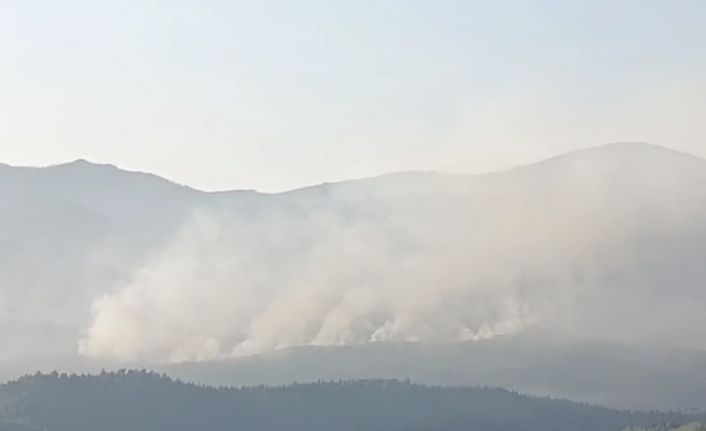 İzmir’de orman yangını sürüyor... Günün aydınlanmasıyla havadan müdahale yeniden başladı