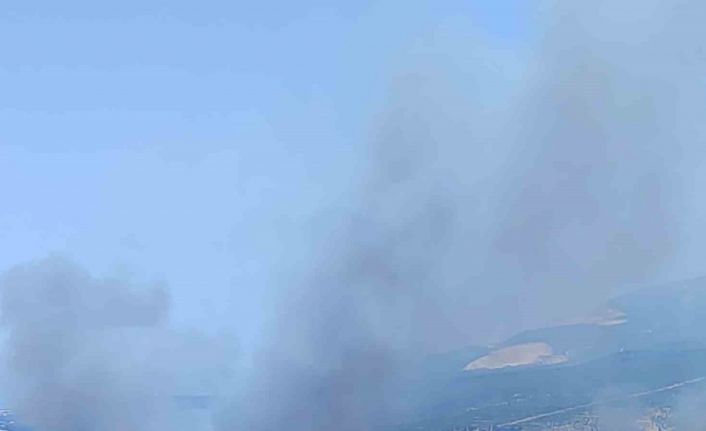 İzmir’de ormanlık alanda çıkan yangın kontrol altında