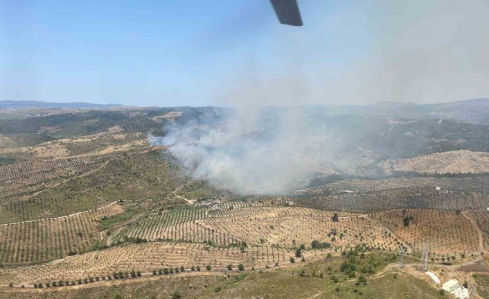 İzmir’de ormanlık alanda yangına havadan ve karadan müdahale başladı