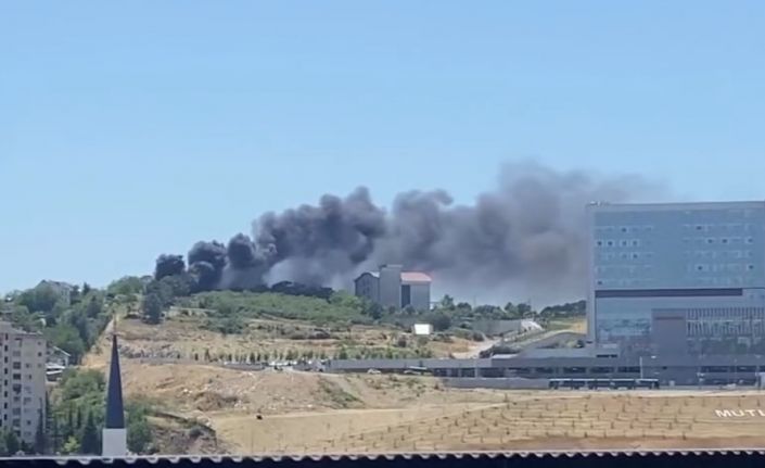 İzmit’te ağaçlık alan yangını: Dumanlar birçok yerden görüldü