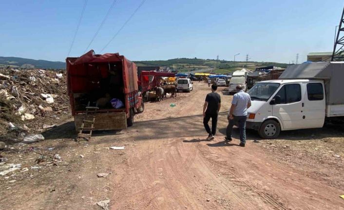 İzmit’te çöplükte kurbanlık satışı