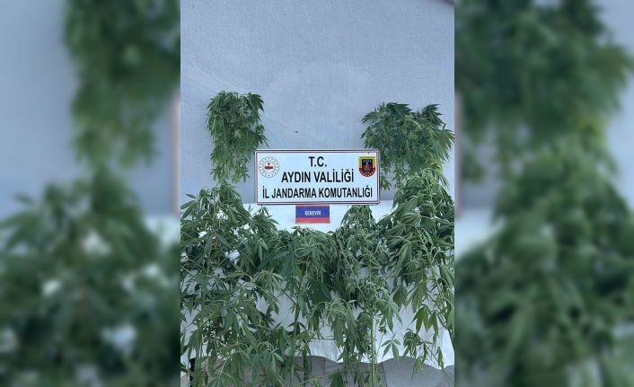 Jandarmada uyuşturucu operasyonu: 16 gözaltı