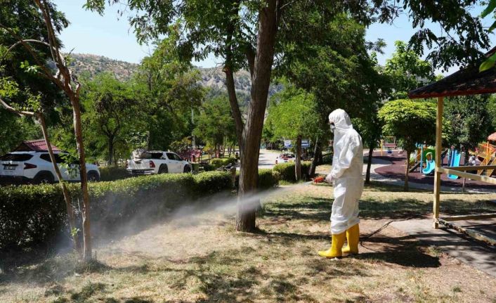 Kahramanmaraş kene tehdidine karşı ekipler sahada