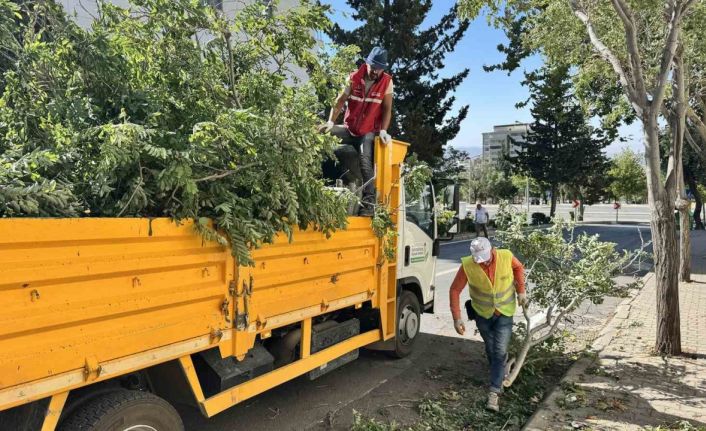 Kahramanmaraş’ta fırtınanın oluşturduğu hasar ortadan kaldırılıyor