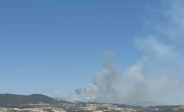 Kahramanmaraş’ta ikinci orman yangını