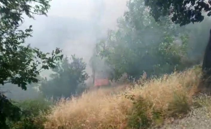 Kahramanmaraş’ta orman yangını büyümeden söndürüldü