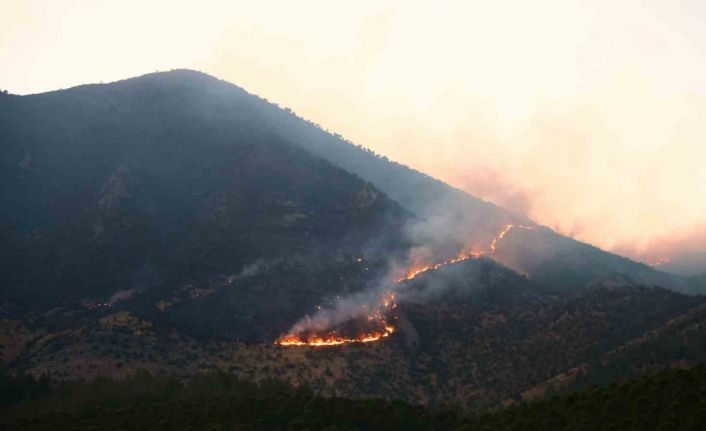Kahramanmaraş’taki orman yangını: 26 saattir müdahale ediliyor