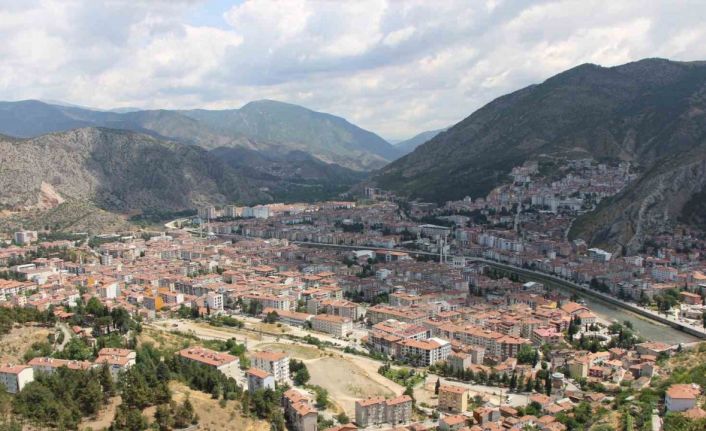 Kahverengi kokarca yayılıyor: Amasya’da da tespit edildi
