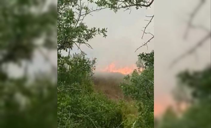 Karabük’te anız yangını büyümeden söndürüldü