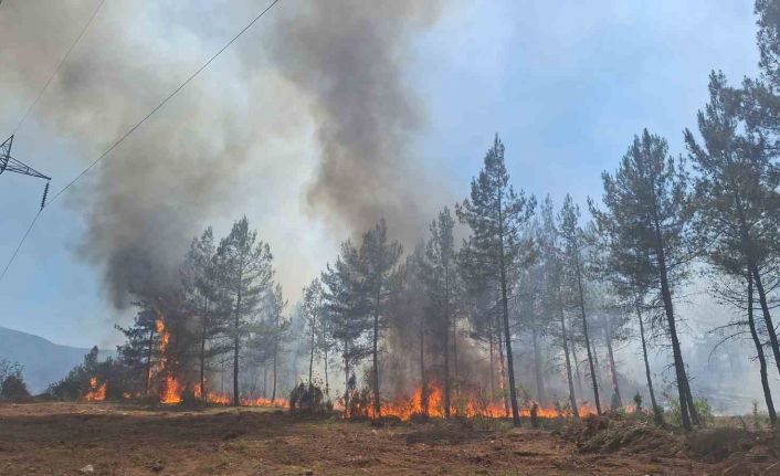 Karabük’te ormanlık alanda çıkan örtü yangını kontrol altına alındı