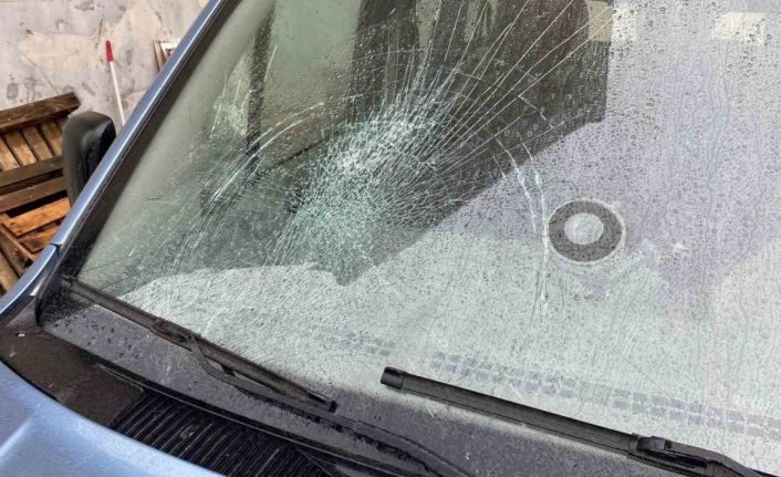 Karayolundaki karacayı telefonu ile kayda alırken bunun olacağını hiç aklına getirmedi