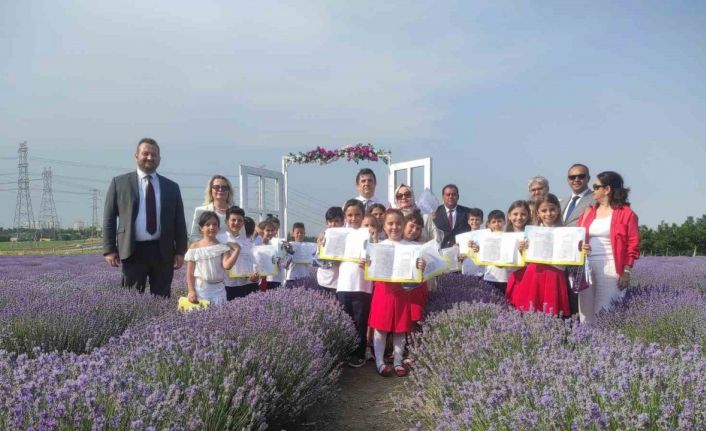 Karnelerini mor tarlada aldılar