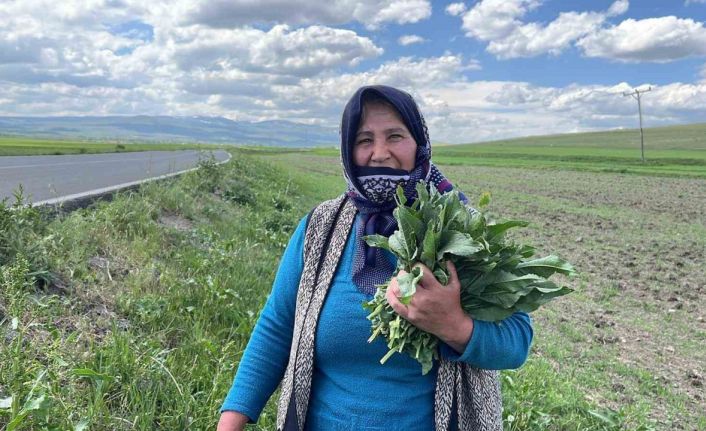Karslı kadınların ‘evelik’ mesaisi başladı