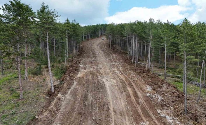 Kastamonu’da ormanları yangınlardan korumak için emniyet yolu çalışmaları sürüyor