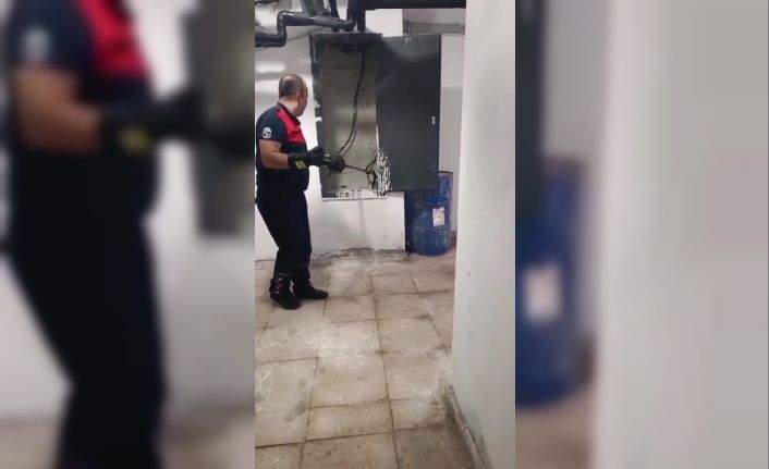 Kazan dairesinde yılan paniği