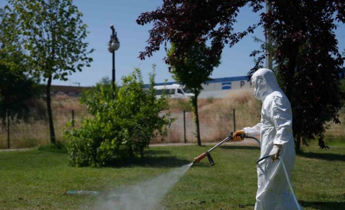 Kene mücadelesi başladı