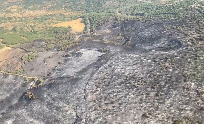 Kepsut’taki orman yangınları kontrol altına alındı