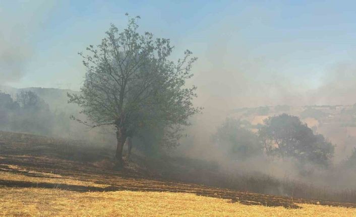 Kestel’deki orman yangını