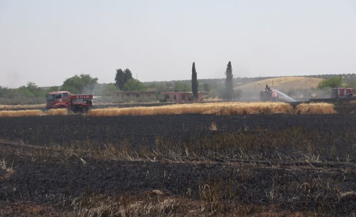 Kilis’te buğday tarlasında yangın