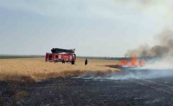 Kırklareli’nde buğday tarlalarında yangın: 500 dekar alan zarar gördü
