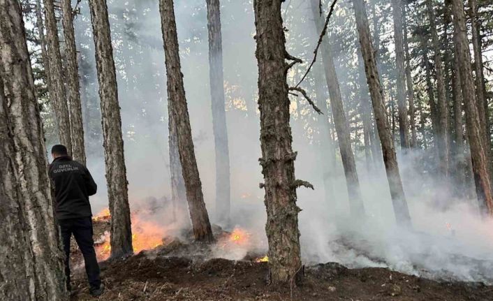 Kızılcahamam Soğuksu Milli Parkı’nda piknikçi ateşinden yangın çıktı