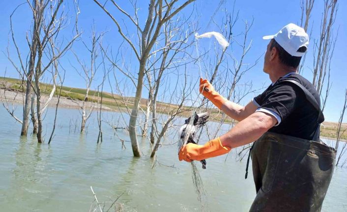 Koçhisar Barajı’nda ’hayalet ağ’ denetimi: Kaçak avcılara ceza kesildi