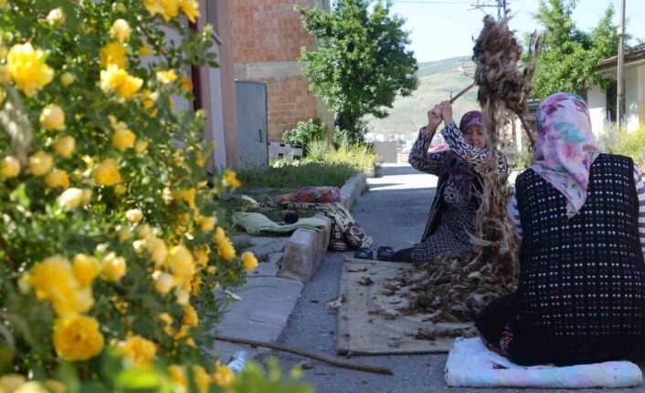Kollar sağlık için sıvandı: Bayburtlu kadınların yün çırpma mesaisi başladı