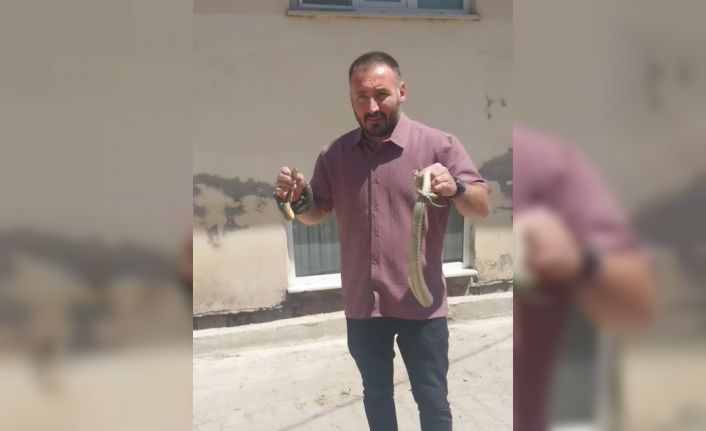 Komşusunun evine giren yılanları eliyle çıkardı, adı ’Yılan Avcısı’ oldu