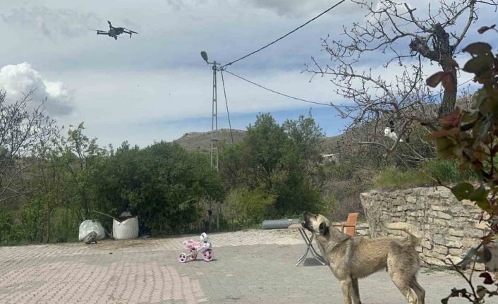 Köpeğin dron ile imtihanı gülümsetti