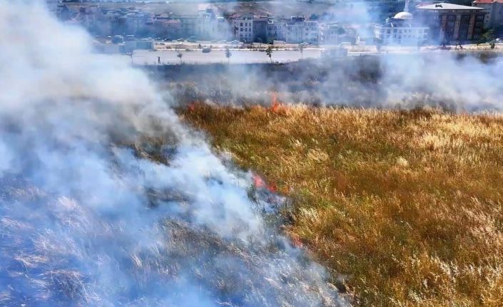 Küçükçekmece’de geniş otluk alanda çıkan yangın paniğe neden oldu