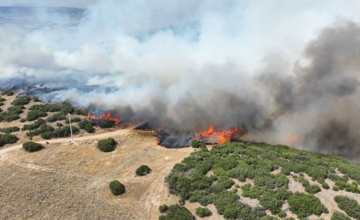 Kula’daki orman yangını kontrol altında